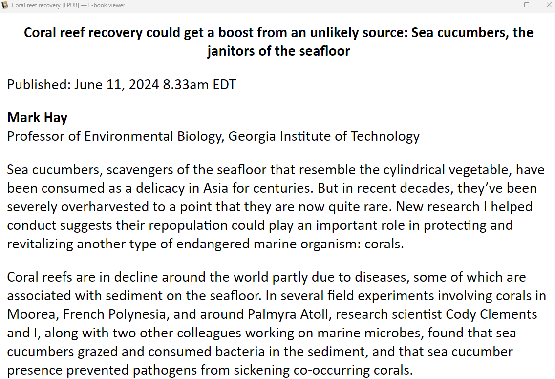 English EPUB3 viewer